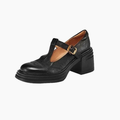 Zapatos de piel con tira en T en color negro y marrón